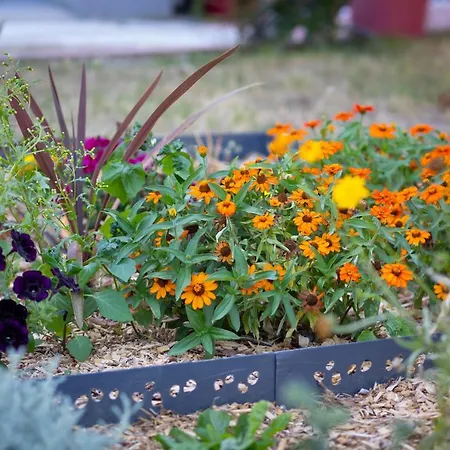 Maison d'hôtes D'hôtes Des Pins *