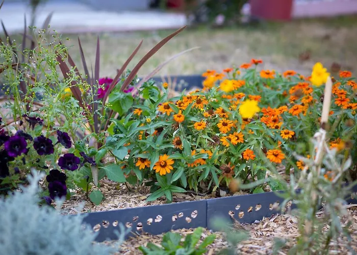 Maison d'hôtes D'hôtes Des Pins *