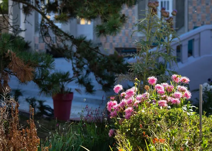 Maison d'hôtes D'hôtes Des Pins