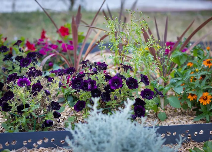 Maison d'hôtes D'hôtes Des Pins Cayeux-sur-Mer