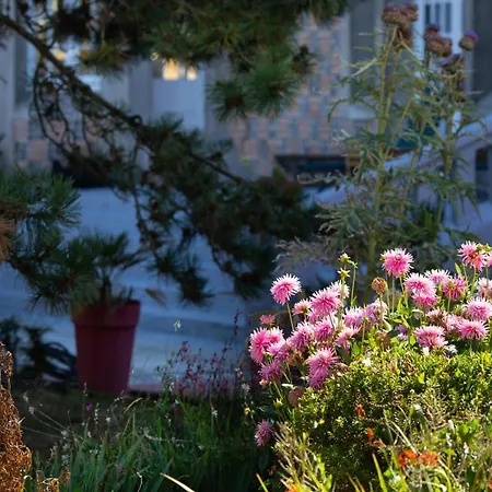 Maison d'hôtes D'hôtes Des Pins